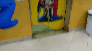 Acesse o Est&uacute;dio Petz Liionel Falcon