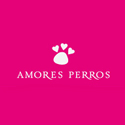 Amores Perros