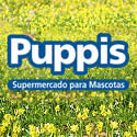 Puppis